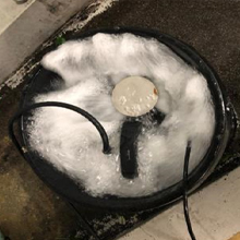 ディーマーケット　ナノ水（花・葉の日持ち）検証実施中
